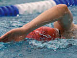 Kurz-Aufbaukurs-Kraulschwimmen für Erwachsene (6 x 45min)